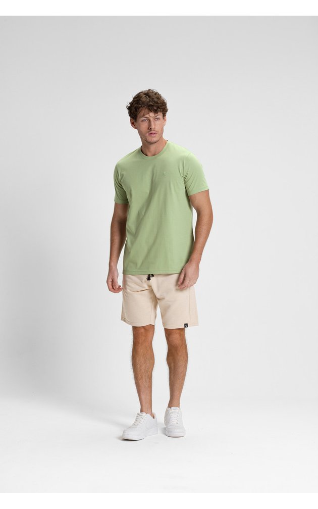 camiseta premium masculino algodao verao riacci verde claro1