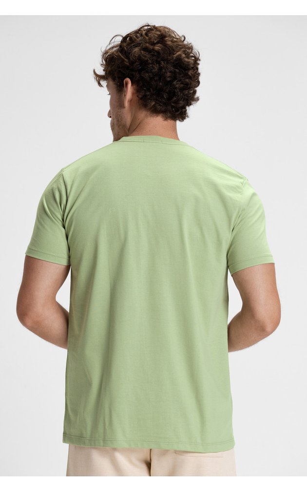 camiseta premium masculino algodao verao riacci verde claro4