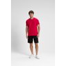 camiseta premium masculino algodao verao riacci vermelho1