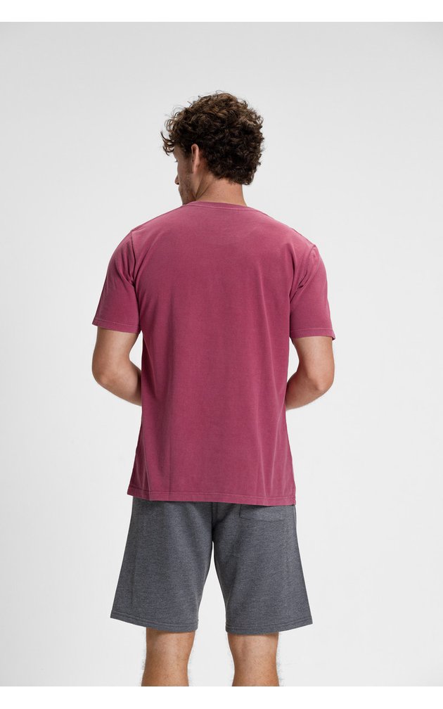 camiseta premium masculino estonado algodao verao riacci vinho5