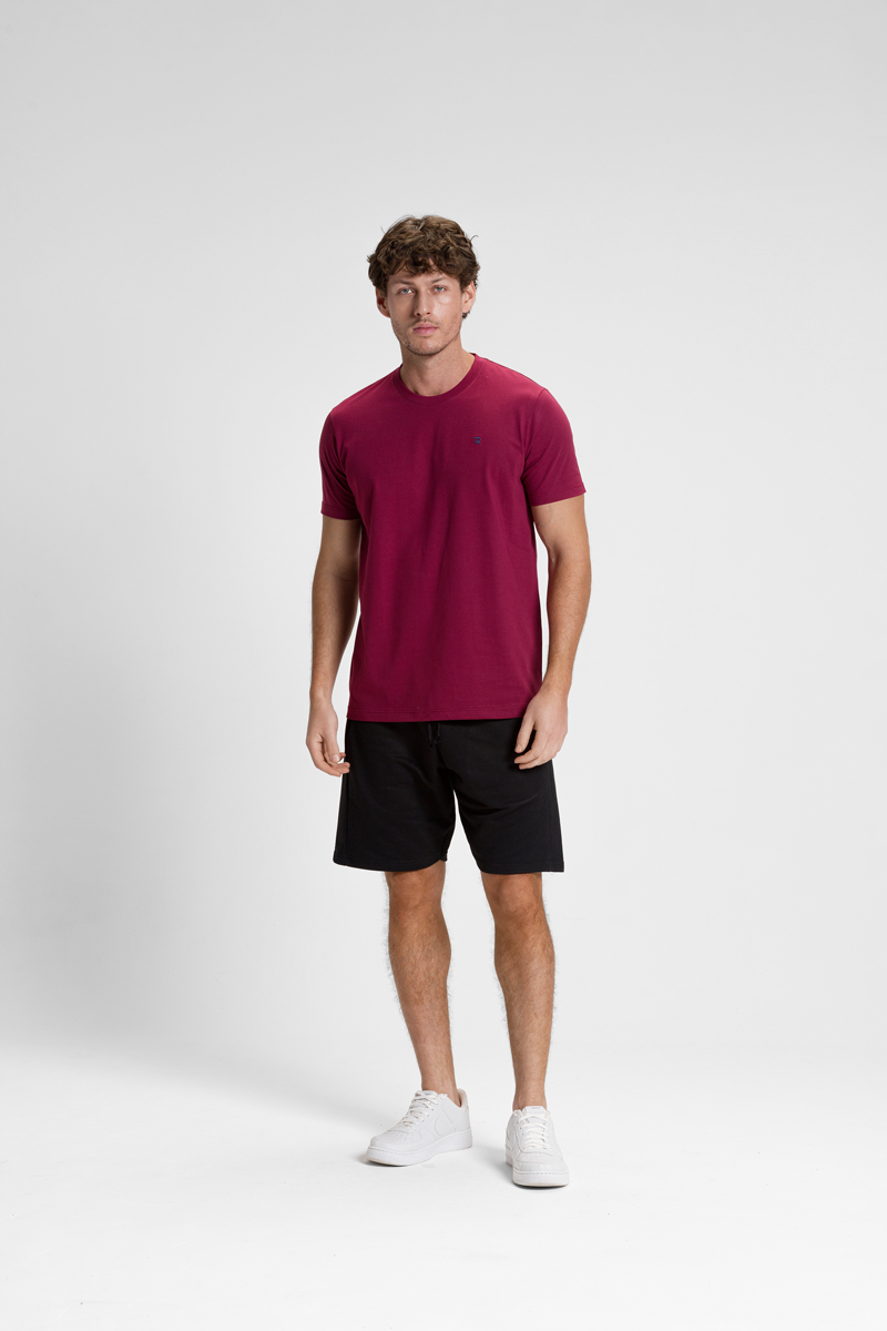 camiseta premium masculina algodao riacci bordo