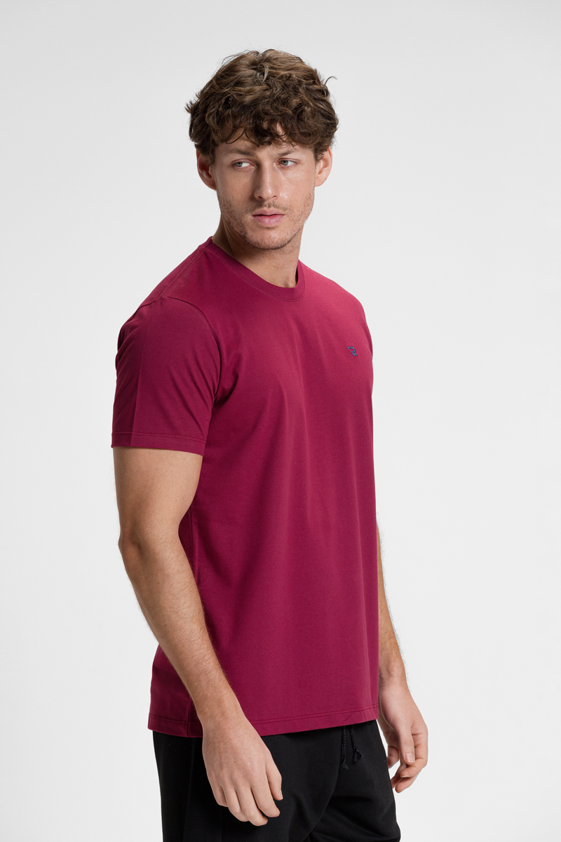 camiseta premium masculina algodao riacci bordo1